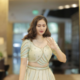 Hand embroidered lehenga and blouse
